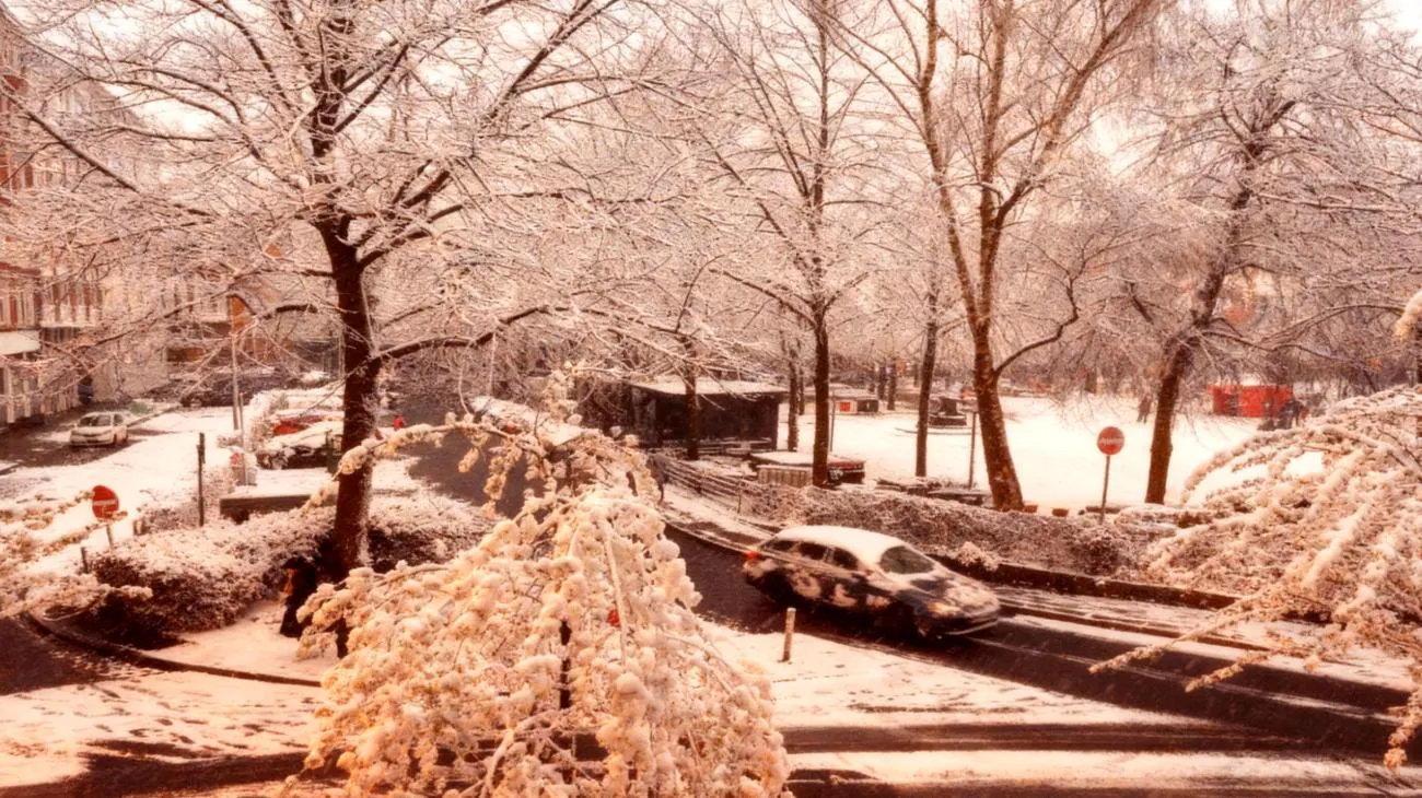 Warum 10.000 Deutsche pro Stunde nach dem Wintereinbruch suchen – und was das über uns verrät 2025-11-07T11:35:15.072Z"